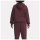 Reebok Γυναικείο φούτερ CL AE Big Logo FT Hoodie